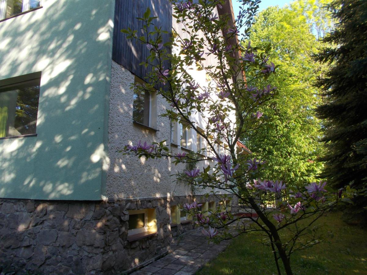 Villa Veronika Ladek-Zdroj Exterior foto